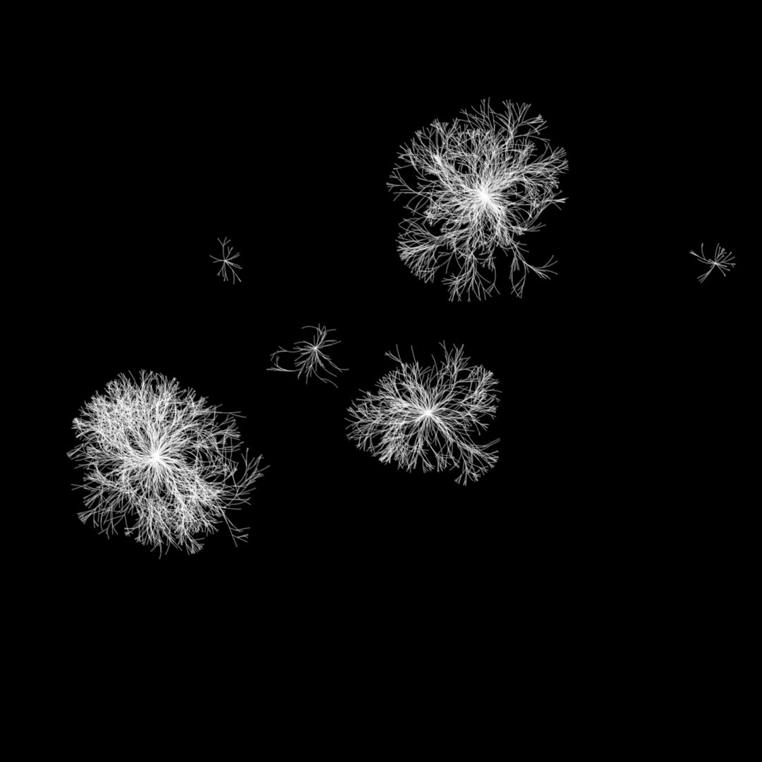Generative Dandelion Study
